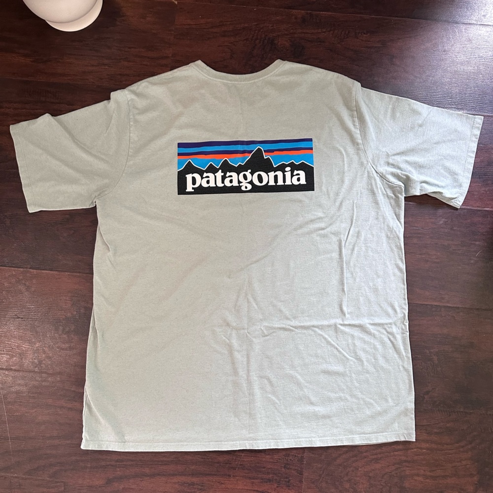 ➡️NWOT! Patagonia Light Gray Men's Short Sleeve Tee